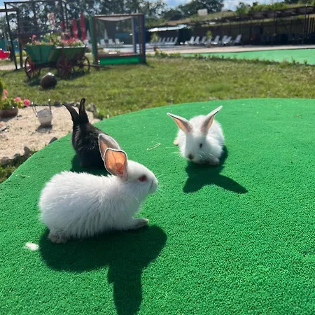 комплекс тополица -the Beautiful View Gerendaház