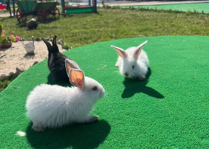 комплекс тополица -the Beautiful View 山林小屋